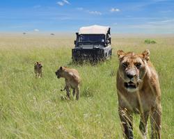 2-wöchige luxuriöse Kenia Reise mit Safari