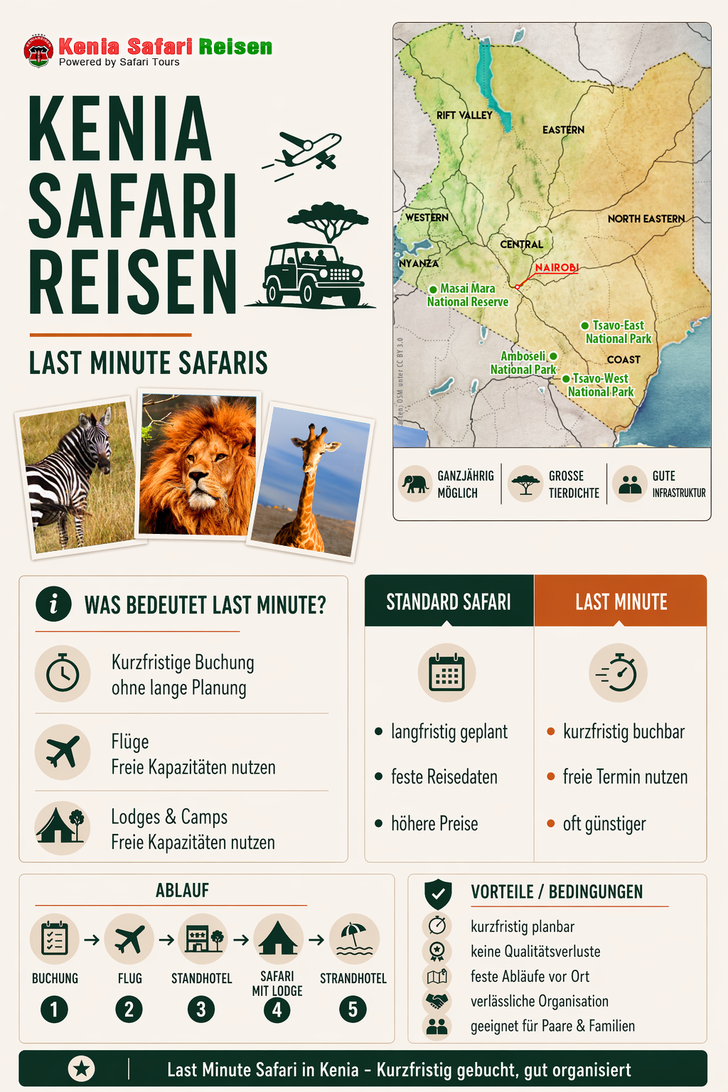 Infografik Last Minute Safaris