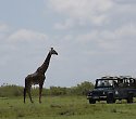 Baden plus Tsavo West, Amboseli, Tsavo Ost-Safari