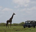 Baden plus Tsavo West, Amboseli, Tsavo Ost-Safari Baden plus Tsavo West, Amboseli, Tsavo Ost-Safari