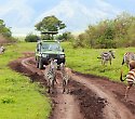 Kenia-Erlebnis-Reisepaket mit Flugsafari und Baden - 4 Tage/3 Nächte Safari Masai Mara Pur Kenia-Erlebnis-Reisepaket mit Flugsafari und Baden - 4 Tage/3 Nächte Safari Masai Mara Pur