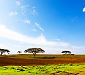 2-wöchige luxuriöse Kenia Reise mit Safari - Kenia Reisen Südküste 2-wöchige luxuriöse Kenia Reise mit Safari - Kenia Reisen Südküste