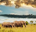 Tolle Kenia-Reise mit Flugsafari Masai Mara Pur Tolle Kenia-Reise mit Flugsafari Masai Mara Pur