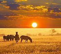 Leisure Lodge & Abenteuer-Kombisafari Big Five Leisure Lodge & Abenteuer-Kombisafari Big Five