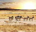 Baden in der Leisure Lodge Kenia & 7 Tage Safari Baden in der Leisure Lodge Kenia & 7 Tage Safari