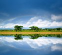 Beliebte Kenia Safari und Badeurlaub am Galu Beach - 4 Tage/3 Nächte Tsavo Amboseli Compact Safari Beliebte Kenia Safari und Badeurlaub am Galu Beach - 4 Tage/3 Nächte Tsavo Amboseli Compact Safari