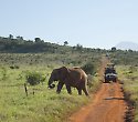 Super Kenia Hotel mit Safari durch 3 Nationalparks - 4 Tage/3 Nächte Tsavo Amboseli Compact Safari