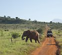 Hotel Travellers Club inkl. Jeep Safari Erlebnis - 3 Tage/2 Nächte Kilimanjaro Safari Hotel Travellers Club inkl. Jeep Safari Erlebnis - 3 Tage/2 Nächte Kilimanjaro Safari