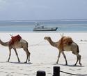 2-Wochen-Kombi mit Safari in Taita Hills und Tsavo Ost - 3 Tage/2 Nächte Salt Lick und Sentrim Tsavo Ost Jeep Safari 2-Wochen-Kombi mit Safari in Taita Hills und Tsavo Ost - 3 Tage/2 Nächte Salt Lick und Sentrim Tsavo Ost Jeep Safari