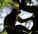 Ferienhaus Kenia mit Tsavo Jeep Safari - Südküste Safaris Ferienhaus Kenia mit Tsavo Jeep Safari - Südküste Safaris