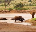 Baden + Safari bis Lake Nakuru, Buffalo Springs etc Baden + Safari bis Lake Nakuru, Buffalo Springs etc