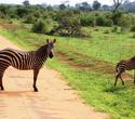 2 Wochen Baden inkl. Tsavo West - Amboseli Safari - Kenia Reisen Safaris 2 Wochen Baden inkl. Tsavo West - Amboseli Safari - Kenia Reisen Safaris