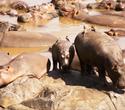 Spannende Safari und ruhiges Hotel Kenia - Kenia Reisen Südküste Safaris Spannende Safari und ruhiges Hotel Kenia - Kenia Reisen Südküste Safaris