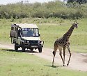 5 Tage Kenia Safari und Insel Badeurlaub
