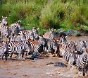 Leisure Lodge & Abenteuer-Kombisafari Big Five Leisure Lodge & Abenteuer-Kombisafari Big Five