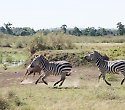 Baobab mit Salt Lick & Sentrim Tsavo Jeep Safari - ****+Baobab Beach Resort Baobab mit Salt Lick & Sentrim Tsavo Jeep Safari - ****+Baobab Beach Resort