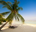 2 Wochen Shanzu Beach Strandurlaub mit Safari 2 Wochen Shanzu Beach Strandurlaub mit Safari