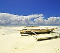 2 Wochen Shanzu Beach Strandurlaub mit Safari 2 Wochen Shanzu Beach Strandurlaub mit Safari