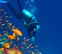 Travellers Club mit Kombisafari Wildes Afrika - 5 Tage/4 Nächte Wildes Afrika Safari Travellers Club mit Kombisafari Wildes Afrika - 5 Tage/4 Nächte Wildes Afrika Safari