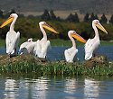 Baden + Safari bis Lake Nakuru, Buffalo Springs etc - ****+Pinewood Beach Resort & Spa Baden + Safari bis Lake Nakuru, Buffalo Springs etc - ****+Pinewood Beach Resort & Spa