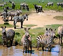 2-wöchiger Badeurlaub inkl. Masai Mara Flugsafari - 4 Tage/3 Nächte Safari Masai Mara Pur