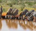 2 Wochen Kenia im Cottage und Tsavo Ost Safari - Südküste Safaris 2 Wochen Kenia im Cottage und Tsavo Ost Safari - Südküste Safaris