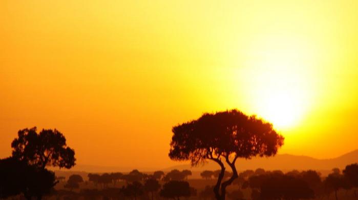 3 Tage/2 Nächte Masai Mara Intrepids Safari