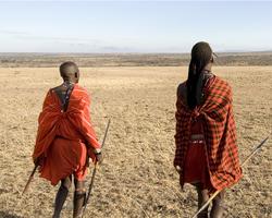 2 Wochen Kenia inkl. 7 Tage Out of Africa Safari - Südküste Safaris