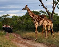 2 Wochen Badeurlaub inkl. 5 Tage Safari