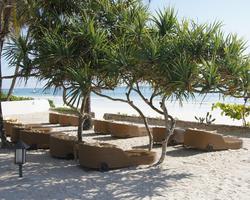 2 Wochen Diani Beach Strandurlaub inkl. Safari - ****Ocean Village Club