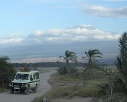 Urlaub am Galu Beach mit Kombisafari Wildes Afrika