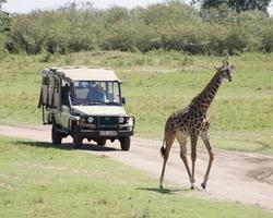 5 Tage Kenia Safari und Insel Badeurlaub - 5 Tage/4 Nächte Wildes Afrika Safari