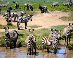 Badeurlaub mit Safari bis Samburu, Shaba etc.